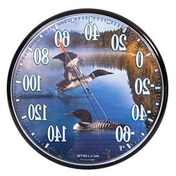 Accurite Loons Thermometer