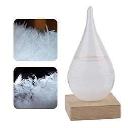 Cookoo Nest European Style Weather Forecast Bottle Storm Bar