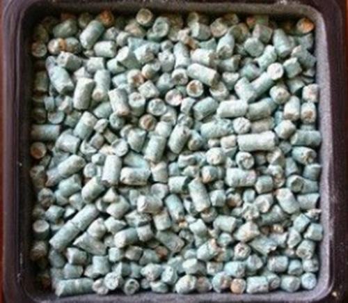 d-CON Poison Pellets Rat Mice Rodent Mouse Killer 200+ Grams